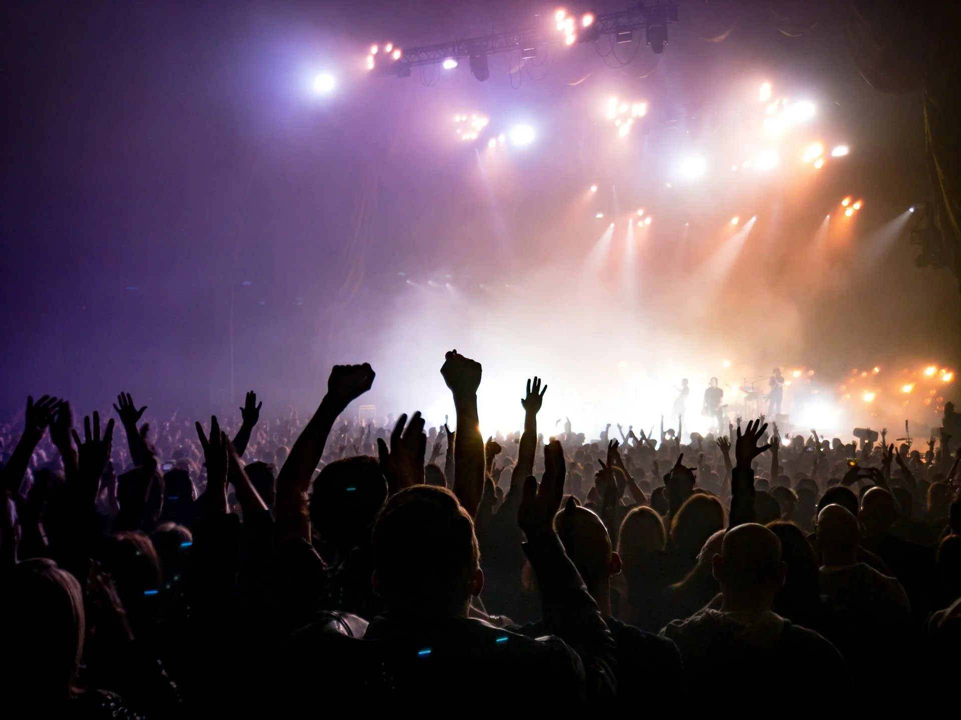 Crowd filling a venue on event night